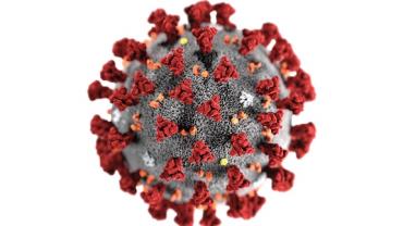 Laboratório da França disponibiliza milhões de doses de antimalárico que daria resultado contra coronavírus