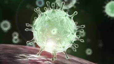 Coronavírus não foi criado em laboratório, mostra estudo