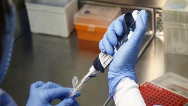 Laboratório americano anuncia anticorpo 100% eficaz contra a Covid-19