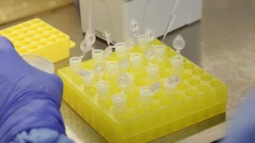 Cientistas estudam medicamento que pode conter avanço do coronavírus sem necessidade de vacina