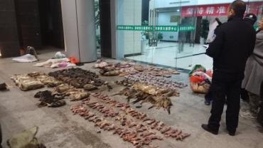 Marco zero do coronavírus, Wuhan veta consumo de animais selvagens