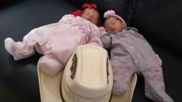 BA: Gêmeas recém-nascidas morrem após serem atacadas por cachorro da família