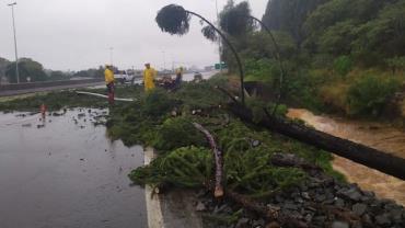 Jair Bolsonaro viaja a SC para sobrevoar regiões atingidas por ciclone