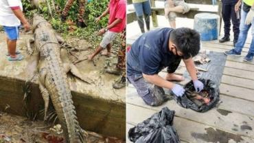 Restos mortais de adolescente são achados dentro de crocodilo na Malásia