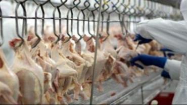 China diz que asas de frango congeladas do Brasil apresentam teste positivo para coronavírus