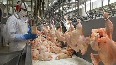 Coronavírus encontrado em frango brasileiro exportado para a China estava em embalagem, afirma associação
