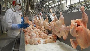 Brasil pede explicações à China sobre frango supostamente contaminado