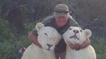 Ambientalista é morto por leoas que cuidava desde filhote na África