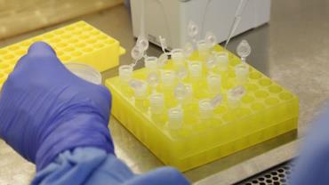 Pfizer submete dados de testes de vacina à Anvisa