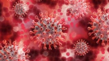 Há um ano, OMS declarava pandemia global do coronavírus