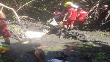 Avião de pequeno porte cai em manguezal de Aracaju
