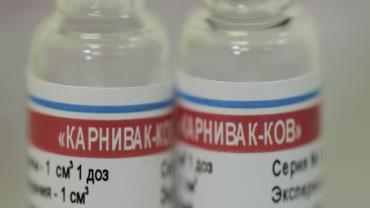Rússia vacina animais de estimação contra Covid-19; saiba como funciona