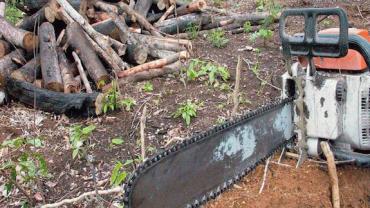 Forças Armadas atuarão em 26 municípios para coibir desmatamento