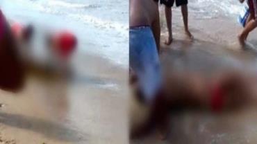 Homem morre ao ser atacado por tubarão em Recife