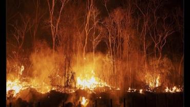Prefeitura de Corumbá pede ajuda para combater incêndios no Pantanal
