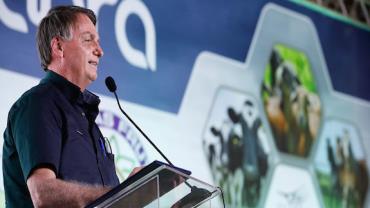 Governo vai investir R$ 34 milhões em fruticultura no DF e Entorno
