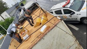 PM apreende mais de 12 toneladas de maconha em São Paulo