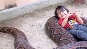 Menina viraliza na internet ao brincar com cobra gigante