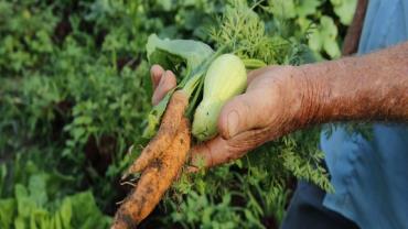 Governo prorroga prazo para cadastro na Agricultura Familiar