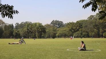 São Paulo celebra Semana do Meio Ambiente com atividades diversas