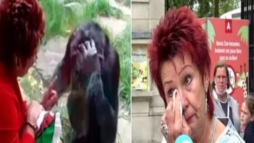 Mulher proibida de visitar zoológico por se apaixonar por chimpanzé recebe autorização para retornar