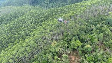 Helicóptero encontrado tentava retornar a SP quando caiu