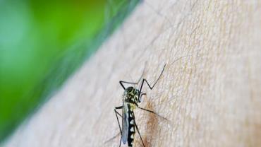 Epidemia de dengue faz Natal decretar emergência em saúde