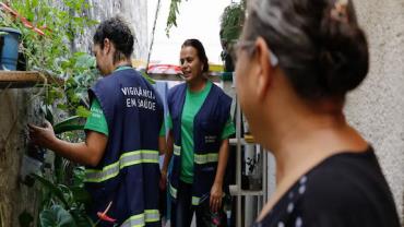 Em um mês, casos de dengue dobram em São Paulo