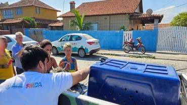 Após ataque à escritora Roseane Murray, Polícia prende donos dos pitbulls