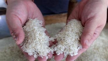Justiça acata pedido da AGU e mantém leilão para importação de arroz