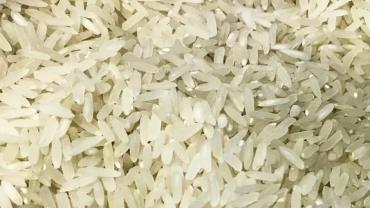 Conab compra 263,3 mil toneladas de arroz importado em leilão