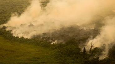 Governo vai liberar R$ 100 mi para combate a incêndios no Pantanal