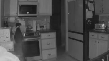 Cachorro incendeia casa após ligar fogão no meio da noite