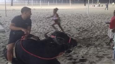 Homem é flagrado montado em búfalo na praia de Copacabana; veja vídeo