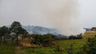 Com 46 cidades em alerta, SP reforça ações para combate aos incêndios