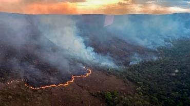 Incêndio queima 10 mil hectares do Parque da Chapada dos Veadeiros