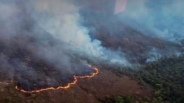 Monitoramento mostra que 99% dos incêndios são por ação humana