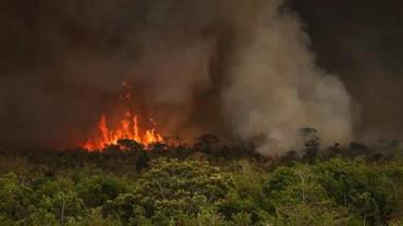 Indígenas de MT lutam por sobrevivência após um mês de queimadas