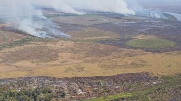 Emissão de gases por incêndios é recorde em dois estados