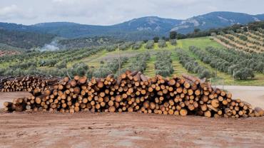 BNDES bloqueia R$ 728 milhões em crédito rural para desmatadores ilegais