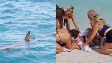 Tubarão ataca turista que tentava tirar selfie com o animal