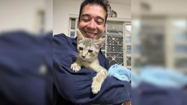 Psicólogo de 30 anos é preso por fazer "experimentos" e torturar gatos