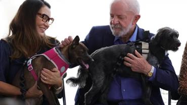 Lula lança programa de identificação e proteção de cães e gatos