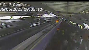 Vídeo registra pânico na estação após passageiro morrer no metrô em SP