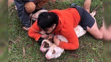 Lutador é atacado por pitbulls e consegue imobilizar os animais; veja vídeo