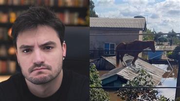 Felipe Neto diz que quer adotar égua Caramelo, resgatada em telhado de uma casa no RS