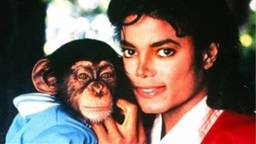 Chimpanzé de Michael Jackson recebe herança de R$ 163 mil, diz site