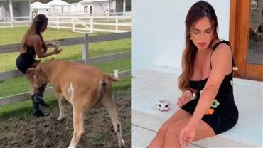 Nicole Bahls leva cabeçada de sua vaca, Ana Castela, e mostra machucados