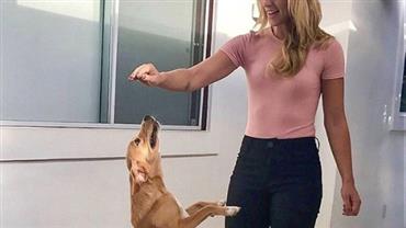 Paolla Oliveira tira foto com cachorro, mas corpão chama a atenção