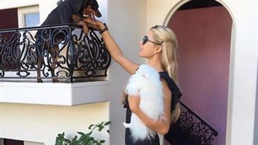 Paris Hilton mostra ''mansão'' de dois andares que construiu para seus cães e deixa internautas indignados